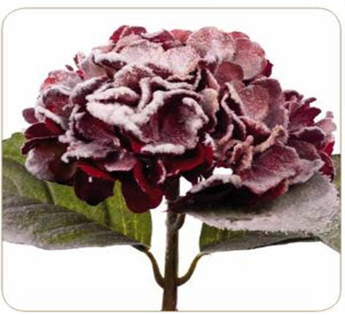 Hortensia Roja con Nieve Navidad